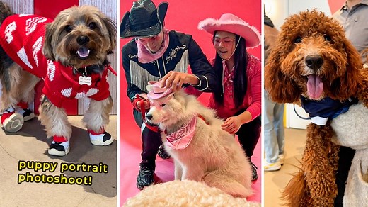 Cheezburger celebrated Valentine’s Day with the cutest dogs in New York City at our very first live event. We hosted a pet portrait photoshoot at dog-friendly venue Boris & Horton and treated guests to a free pup portrait, courtesy of pet photographer Brooke Jacobs. It was pawesome! | Cheezburger