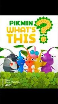 Pikmin What's This? #031 | Pikmin 4 | Nintendo Switch