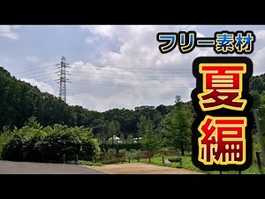 【フリー素材BGM】夏の環境音・効果音：山編【セミ・ヒグラシ・鳩・鶯】