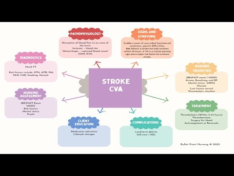 NEW - CVA / Stroke RN lecture (Medsurg/Adult health) ADN/BSN concept map. Evidence-based review.