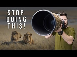 How to get better wildlife photos on safari