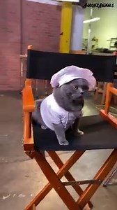 Michael has just finished in hair and makeup and is getting into the zone 😉 | Aaron's Animals