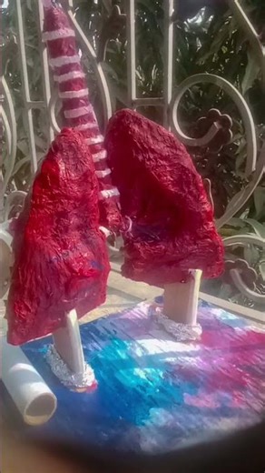 RESPIRATORY system working modal..