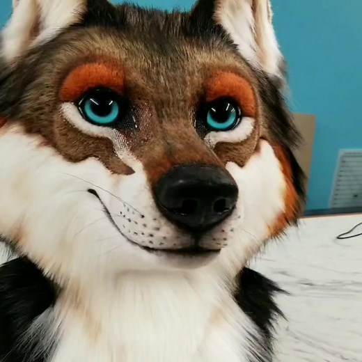 Meet Gau the Wolf: Crafting a Unique Fursuit