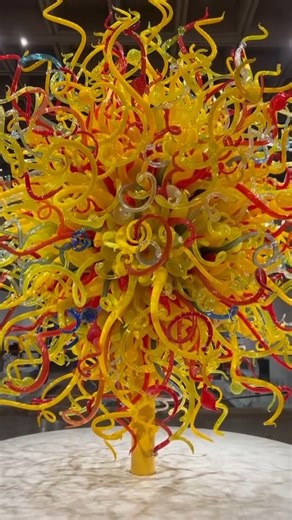 Previously viewed on the front steps of the Montreal Museum of Fine Arts (Musée des beaux-arts de Montréal), “The Sun” (2003) was recently moved to a permanent site indoors. Now it stands at the center of the MMFA’s new Liliane and David M. Stewart Pavilion, which houses the Museum’s design and decorative arts collection—one of the largest and most prestigious in North America. Thanks to @megdoespottery for sharing a peek at this #Chihuly sculpture in its new home! Read La Presse’s coverage of t