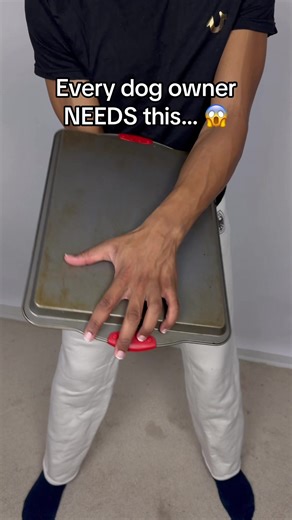 This is the best thing ever 🐶😱#dogs #pets