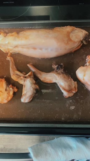 Delicious Rabbit Tacos Recipe 🌮