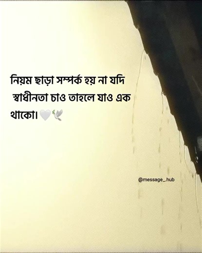 𝗠𝗘𝗦𝗦𝗔𝗚𝗘 𝗛𝗨𝗕🕊️🦋 (@message__.hub)’s videos with original sound - Arpita❤️✨
