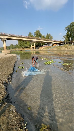 Unbelievable Push Net Catch #shaplafishing #fishing #safanafishing #fishspecies