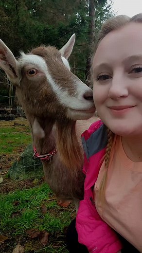 26 reactions · 3 comments | If you're new here, HI! Im Meg! Some know me for hand-crafted goat milk soaps, others for my herd of mischief-makers. I proudly answer to both: soap maker and crazy goat lady!  | Grumpy Goat Soaps | Facebook