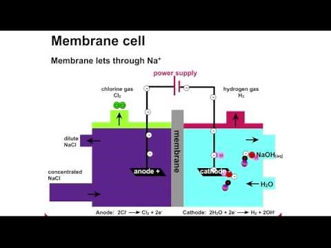 Chlor-Alkali Process Animation