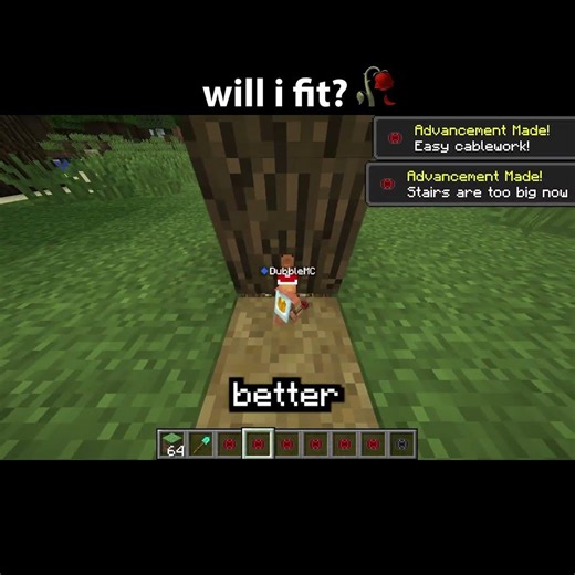 Minecraft Will I Fit Moment