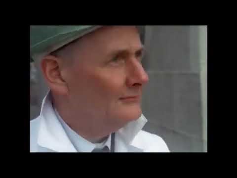 Look at Life - Volume 7 - Out on DVD 10/08/2015