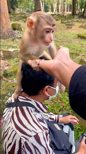 THIS baby is gery friendly! 😅❤️ #shorts #youtubeshorts