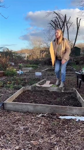 Allotment Plot Update: January Gardening Tasks