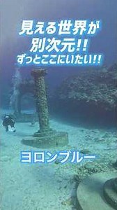 帰りたくない…😭ダイバー仲間と行く2泊3日与論島ダイビング旅✈️🌺 #vlog #旅行 #shorts #ダイビングショップ #travel #与論島 ＃旅ログ