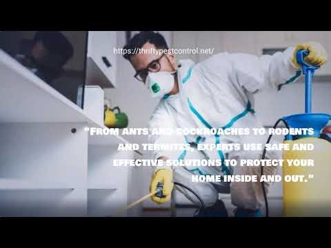 Best Pest Control Service Frisco Texas