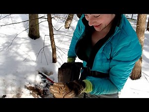 Metal Detecting MissDetectorist Finds Colonial Relics!