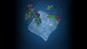 Molecularly Imprinted Polymers