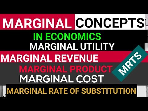 Marginal Concepts in Economics in one video. #MarginalUtility #MarginalCost #MPC #MRS #MRTS