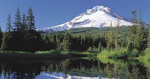 Mt. Hood & Columbia River Gorge Day Tours | Wildwood Adventures