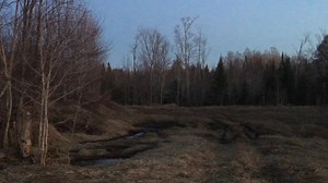 Spring is here! Spring peepers peeping. Smelt are running. Flowers are blooming. Buds are budding. Grass is growing. | Upper Peninsula of Michigan