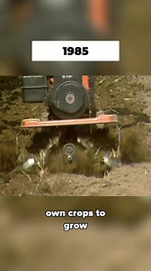 40K views · 349 reactions | Henry Gaston has a talent for making things grow, and in this episode of the 5NEWS Vault, we take a look back at the hard work he put in to the Fayetteville Community Garden in 1985. | 5NEWS | Facebook