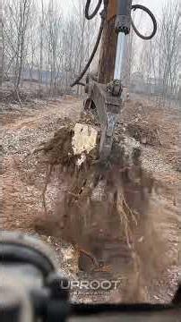 Most Satisfying Tree Stump Removal Excavator in Action | Ep 71 #shorts
