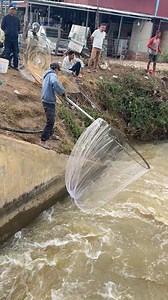 608K views · 3.9K reactions | Real catch fish by using hand net | Nimit Village | Facebook