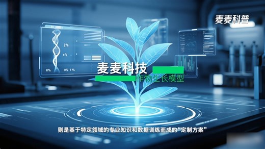 作物生长模型系列科普③通过大模型与行业大模型双剑合璧