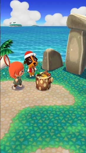 [Pokémon Camp Complete] What kind of bugs can you catch on the island? 🐝