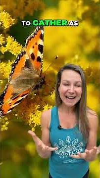 Stop Blaming Goldenrod! The Real Fall Allergy Culprit Revealed (and Why You Should Plant It!)