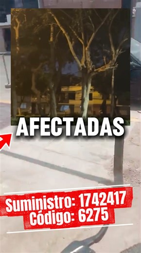 VECINOS DE BELLAVISTA INDIGNADOS CON EMPRESA Enel Group TRAS FALLA DE ELECTRÓNICOS Y PUTREFACCIÓN DE PRODUCTOS POR FALLA DE SU TRONCAL ELÉCTRICA ⚡️ Enel Perú Suministro: 1742417 Código: 6275 | Prensa Callao Tv