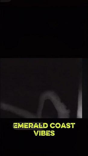 Octopus makes an appearance on the okaloosa pier camera in Fort Walton Florida at night.