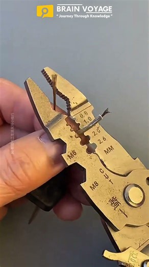 How to Fix a Broken Electrical Plug Like a Pro