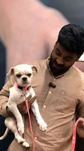 216K views · 1.8K reactions | Full video in you tube channel please support, go watch it.మా MAX మీద బెంగ పెట్టుకోని, Angel గోరంగ ఏడుస్తోంది,Next day MAX ని SURPRISE గ తెచ్చాను .#trending #viral #trending #instagram #like #reels #follow #support #hyderabad #seanpaulaqsa #emotional | Seanpaul Aqsa | Facebook