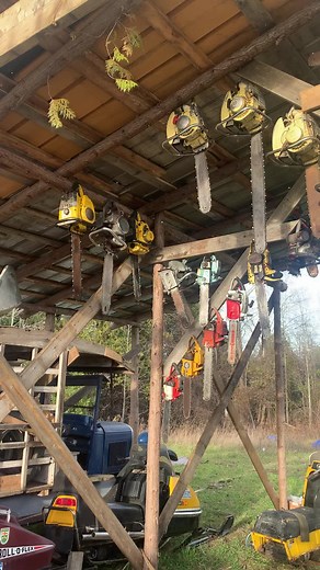 Isaac and Big Blue on TikTok