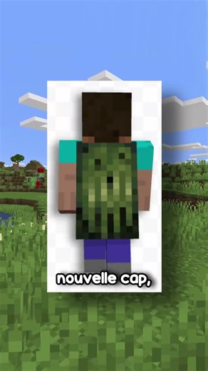 le défis quasiment impossible de mojang!