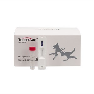 [Hot Item] Cheap Hot Sale Animal Rapid Test Kit Canine Distemper Virus Antigen Test