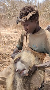 14M views · 141K reactions | How Primitive Hunters Catch Food Without Modern Tools | African stories | Facebook