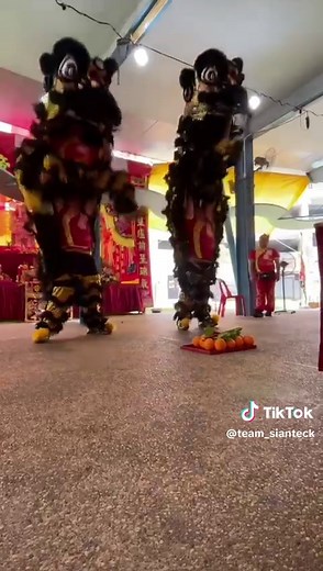 team_sianteck on TikTok