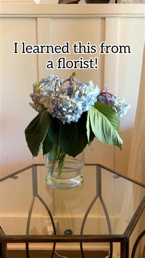 ✨ How to revive hydrangeas! #florist #hydrangea #decor | Jeff & Lauren