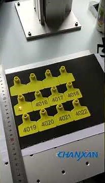 cattle ear tag engraving machine