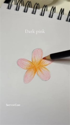 4.5K views · 157 reactions | Some tutorials of flower #flower #drawing #howtodraw #tutorial #sketch #artist #art #relaxing | SketchyCore | Facebook