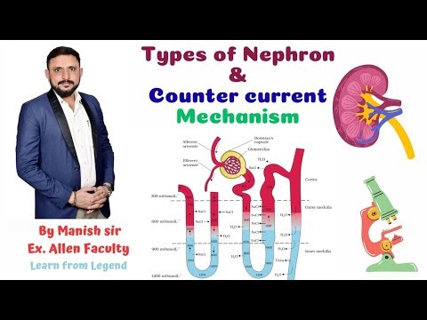 Types of Nephron & Counter current mechanism 🤯 Crystal clear By Manish sir Ex. Allen Faculty