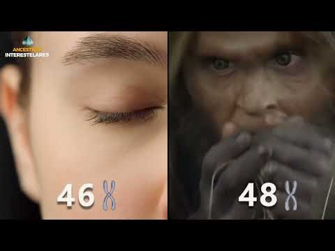 Secretos del ADN ¿Extraterrestres o Evolución