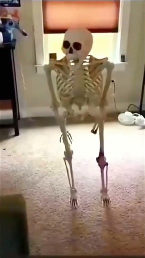 skeleton falling meme 720p 60fps