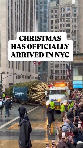 1.2K views · 17K reactions | She’s the most famous Christmas Tree in the world, lighting up the most magical city during the Holiday Season: the 2025 Rockefeller Center Christmas Tree The next big moment? The 2025 Tree Lighting Ceremony on December 3rd | Alexia Ageeva | Facebook