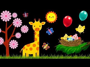 Baby Sensory Video - High contrast - Sensory Videos for Babies - Visual Stimulation for Newborn