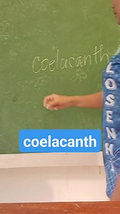 AE pronunciation of coelacanth #nanayguro#nanayguro #45k#45k #Ae #pronunciation #coelacanth | Nanay-guro vlog